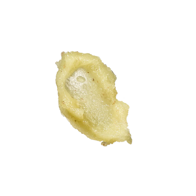 MORE SALT BODY SCRUB 03